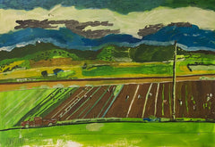 Cilantro Field