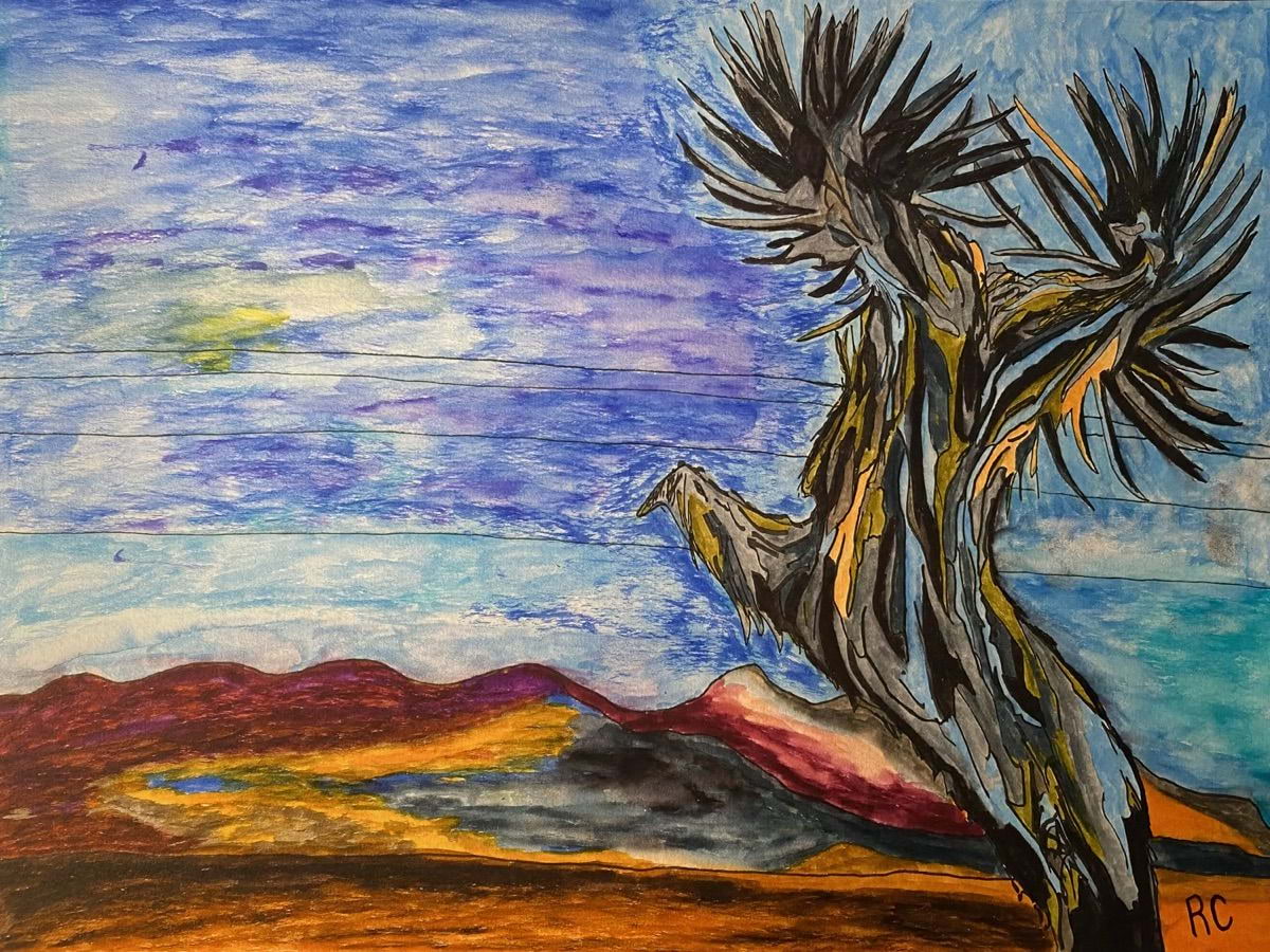 Giant Yucca West Texas